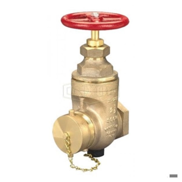 Gate Valve, 2-1/2 in, FNPT x MNST, Cast Brass Body, Iron Hand wheel Actuator, Domestic